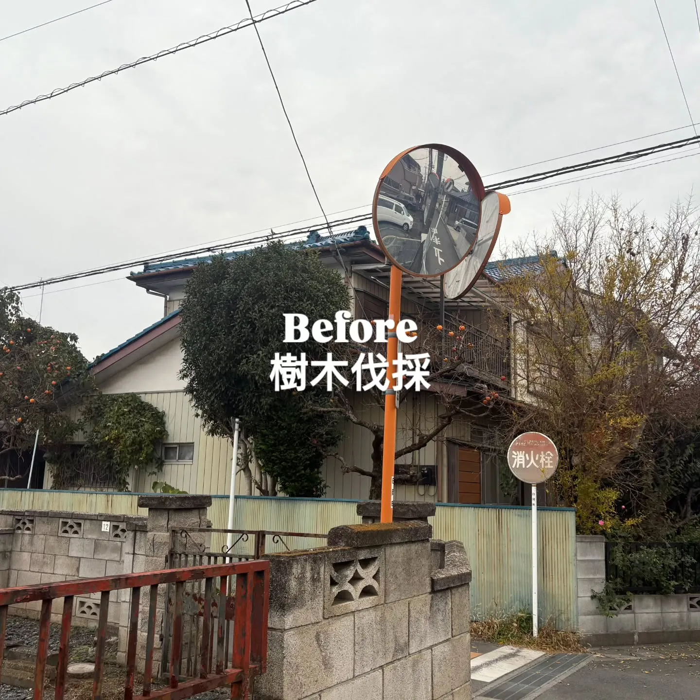 🏡埼玉県白岡市S様邸
