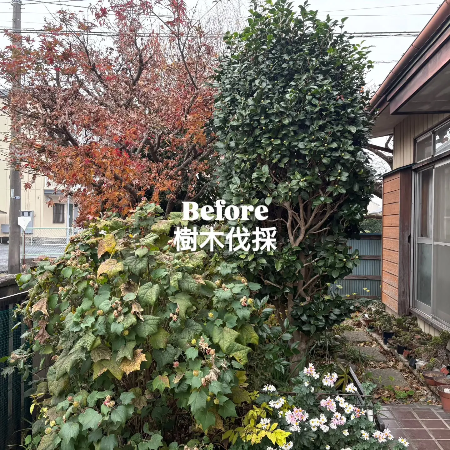 🏡埼玉県白岡市S様邸
