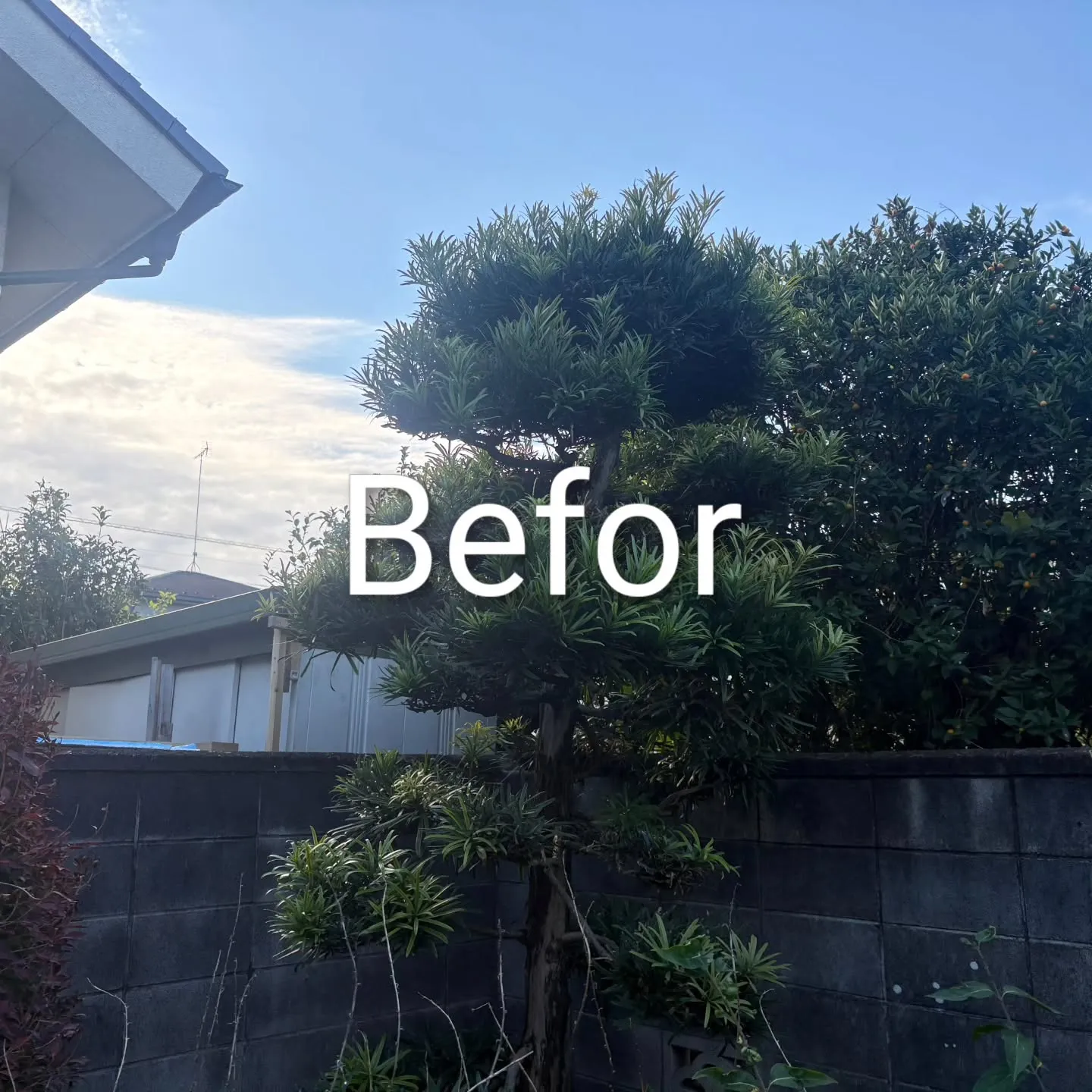 🏡埼玉県鴻巣市S様邸