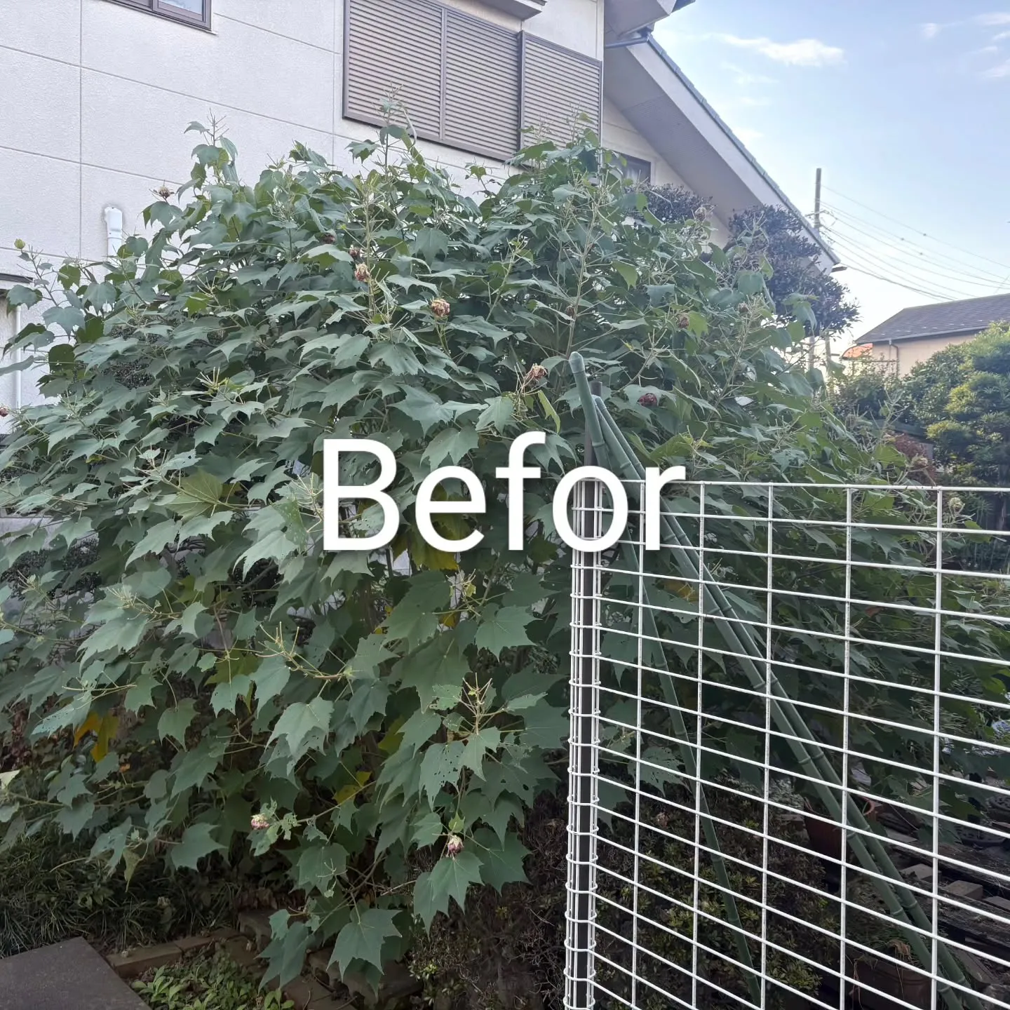 🏡埼玉県鴻巣市S様邸